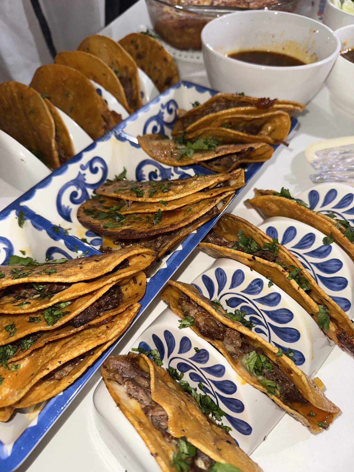 Birria plate